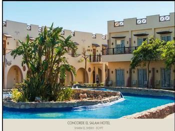 Concorde El Salam Sheikh Sport 5* Szarm el-Szejk